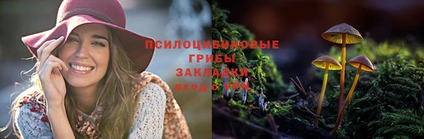 герыч Верхний Тагил