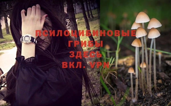 mdpv Новозыбков