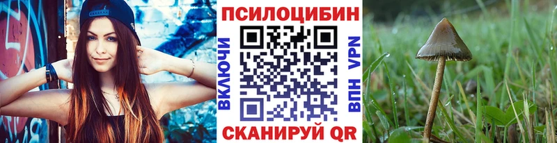 МЕГА tor Славянск-на-Кубани Псилоцибиновые грибы Psilocybe